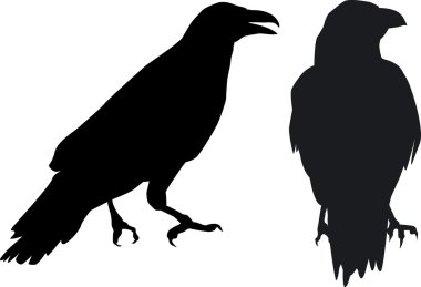 Raven Duet - Hugin and Munin clipart