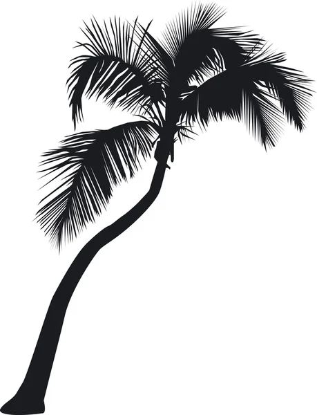 Una palma coltivata obliquamente — Vettoriale Stock