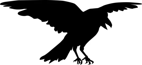 Un corvo impressionante allarga le ali . — Vettoriale Stock