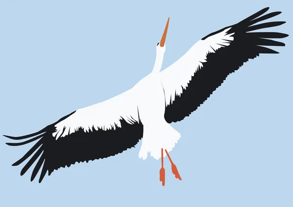 A wonderful stork rises — Stock Vector