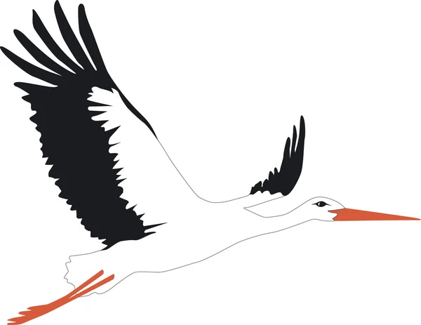 A wonderful stork flies — Stock Vector