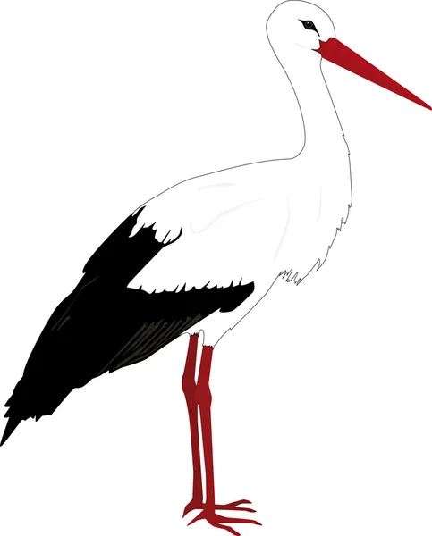 güzel bir leylek pofil anlamına gelir..