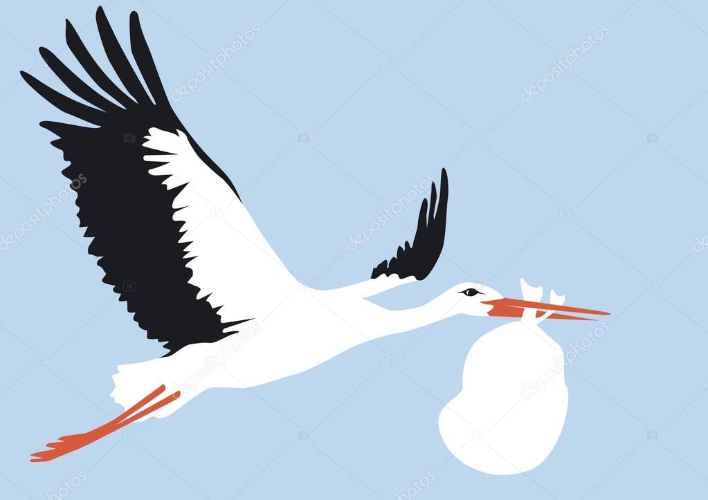 A wonderful stork brings a baby