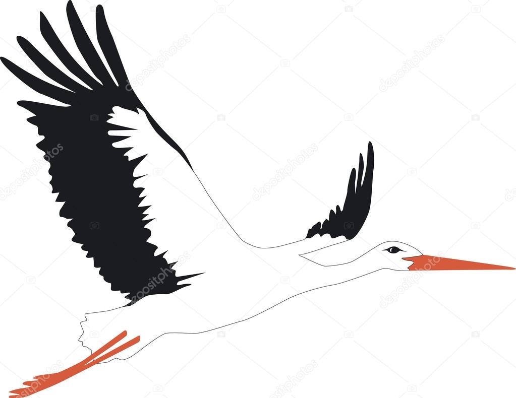 A wonderful stork flies