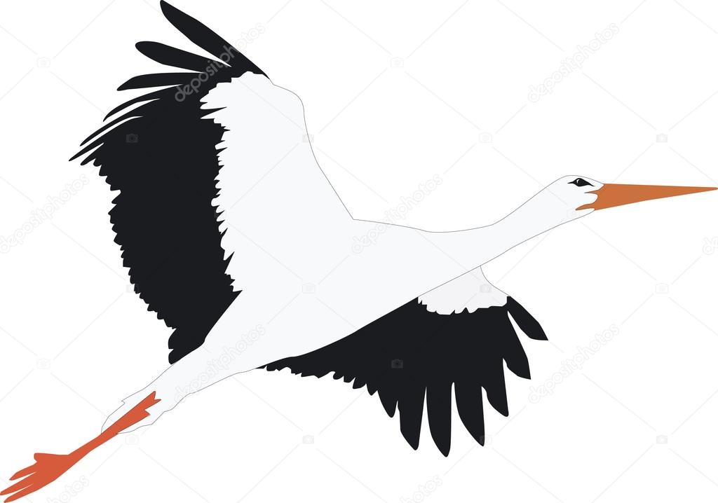 A wonderful stork flies