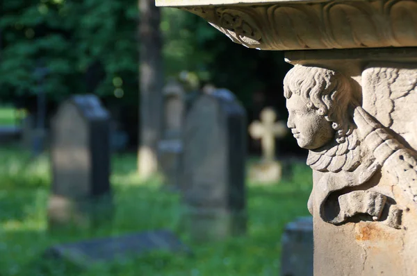 A cabeça de um belo anjo sorri no já escuro cemitério — Fotografia de Stock