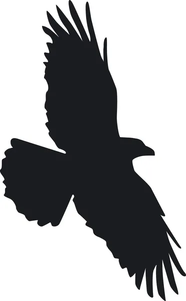 Um corvo impressionante voa no céu — Vetor de Stock