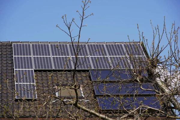 Solární Moduly Solární Termální Panely Střeše Stromem Jarním Světle Bezmračná — Stock fotografie