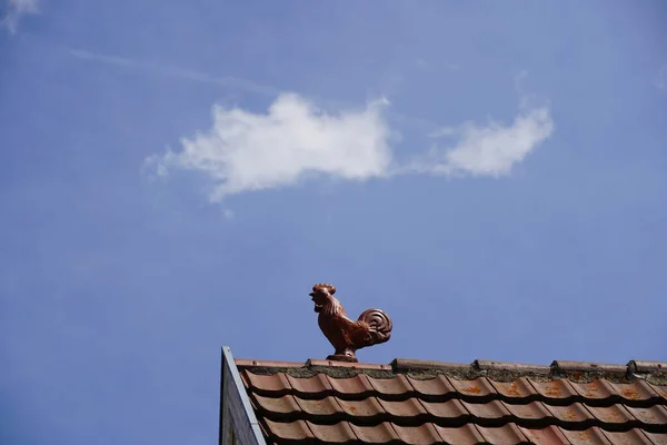 Lucky Charms Roof Ridge Red Rooster Said Protect House Red — Stockfoto