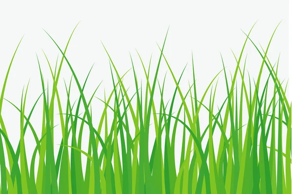 Seamless grass — Stock Vector