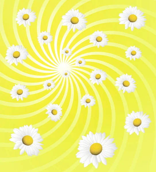 Background with daisies — Stock Vector