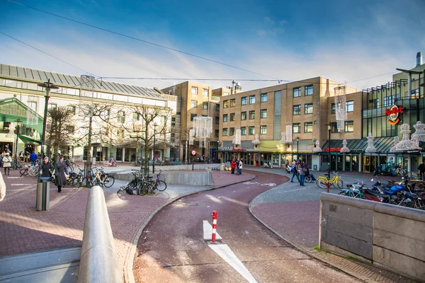 Max euweplein Amsterdam'da bir kare ile barlar — Stok fotoğraf