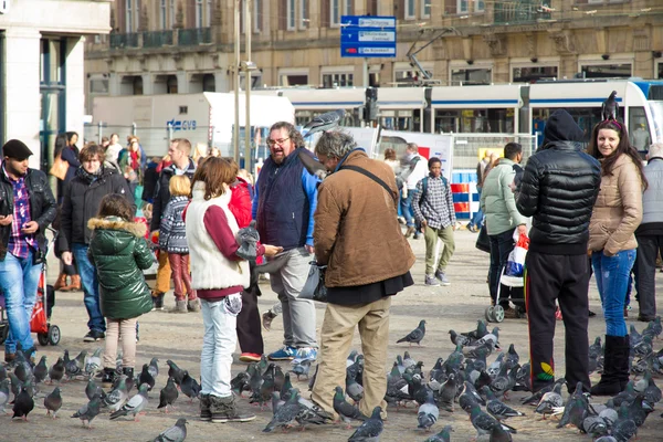 Persone che si nutrono piccioni su Damsquare ad Amsterdam — Foto Stock