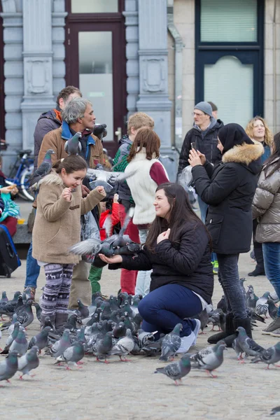 Gente alimentando palomas en Damsquare en Amsterdam Fotos de stock libres de derechos