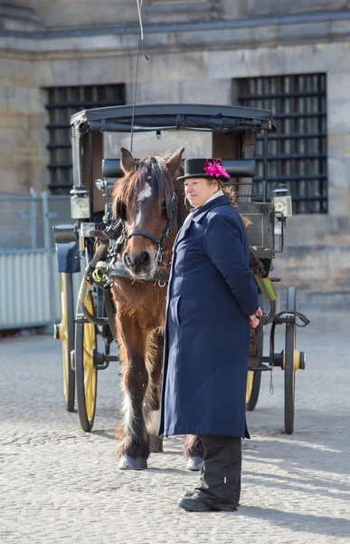 Attrazione olandese cavallo e carro — Foto Stock