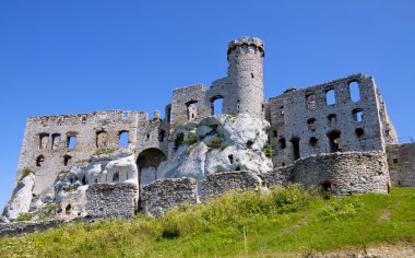 ogrodzieniec kalede. Polonya