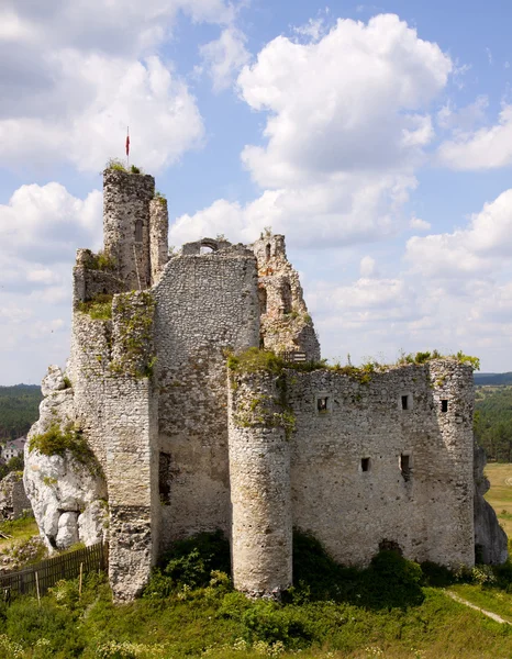 kalede mirow, Polonya