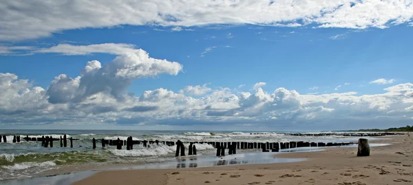 Baltık Denizi. plaj