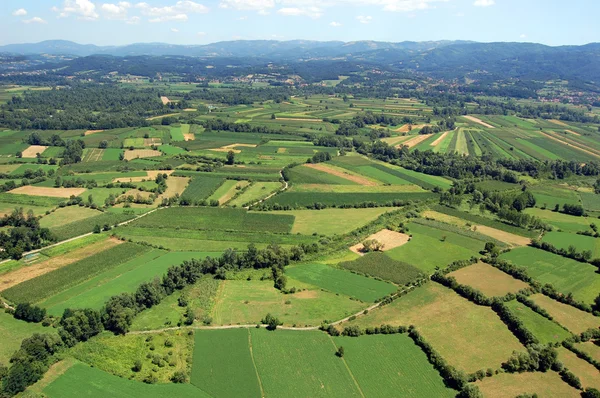 Fields panorama — Stock Photo, Image