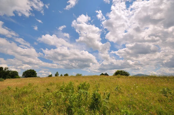 Fields landscape — Stock Photo, Image