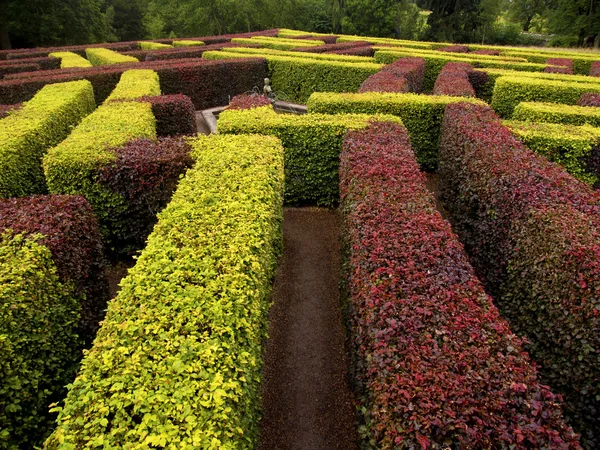 Labirinto del giardino Immagine Stock