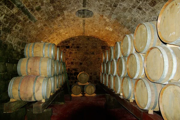 Бочковое вино — стоковое фото