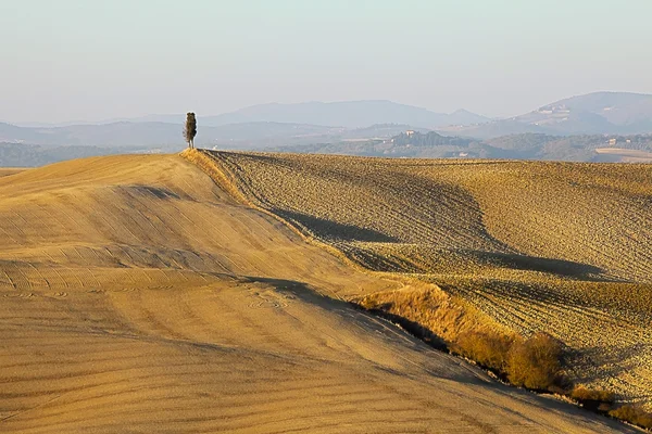 Colinas onduladas de Siena, la Creta, Toscana —  Fotos de Stock