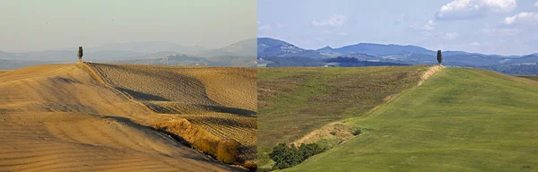 Colinas de Siena, la Creta, Toscana, mismo tiro, diferentes estaciones —  Fotos de Stock