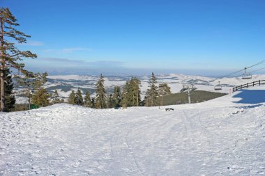 Çam ormanlı kayak merkezi güneşli, mavi bir günde.