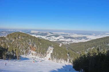 Çam ormanlı kayak merkezi güneşli, mavi bir günde.