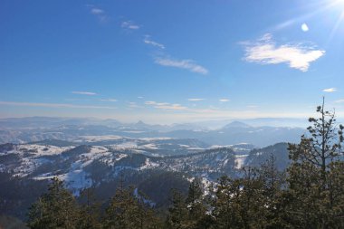 Çam ormanlı kayak merkezi güneşli, mavi bir günde.