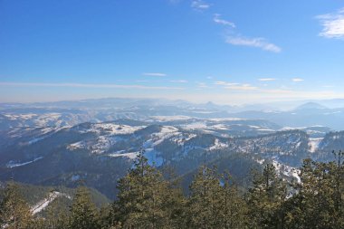 Çam ormanlı kayak merkezi güneşli, mavi bir günde.