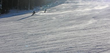 Çam ormanlı kayak merkezi güneşli, mavi bir günde.