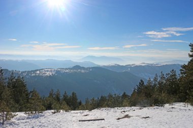 Çam ormanlı kayak merkezi güneşli, mavi bir günde.