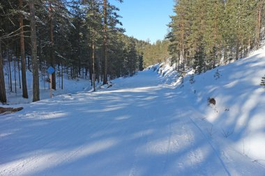 Çam ormanlı kayak merkezi güneşli, mavi bir günde.