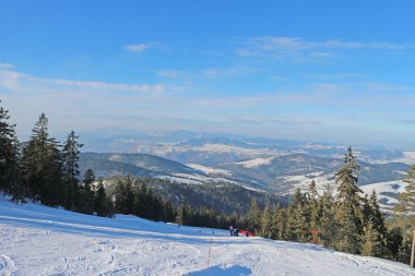 Çam ormanlı kayak merkezi güneşli, mavi bir günde.