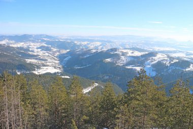 Çam ormanlı kayak merkezi güneşli, mavi bir günde.
