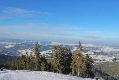 Çam ormanlı kayak merkezi güneşli, mavi bir günde.