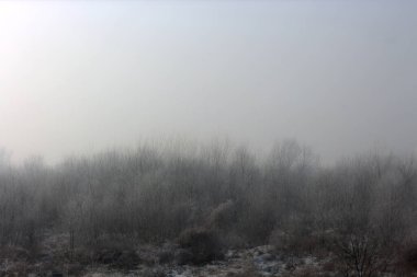 Çıplak ağaçlar ve çalılar. Kentin kenarında kar yağarken.