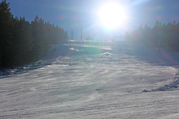 Skidanläggning Med Tallskog Solig Blå Dag — Stockfoto