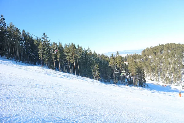 Estación Esquí Con Bosque Pinos Día Soleado Azul —  Fotos de Stock