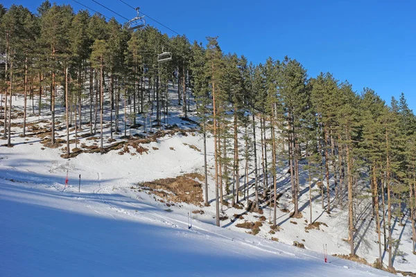 Estación Esquí Con Bosque Pinos Día Soleado Azul — Foto de Stock