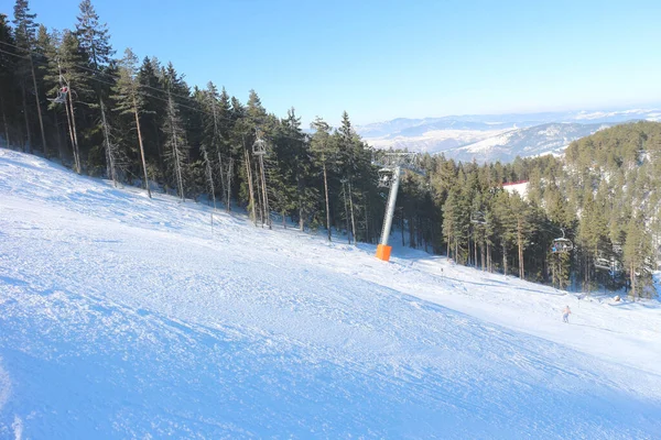 Station Ski Avec Pinède Par Une Journée Ensoleillée Bleue — Photo