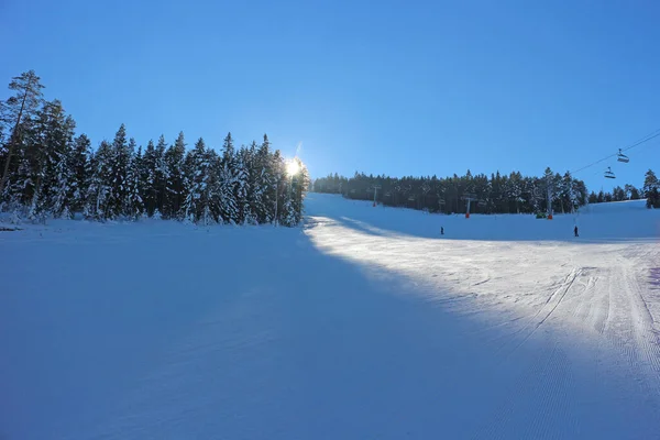 Skidanläggning Med Tallskog Solig Blå Dag — Stockfoto