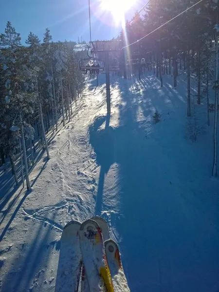 Ski Resort Pine Forest Sunny Blue Day — Stock Photo, Image