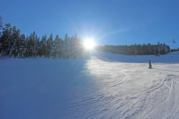 Skidanläggning Med Tallskog Solig Blå Dag — Stockfoto