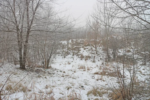 Holé Stromy Keře Zima Sněhem Okraji Města — Stock fotografie