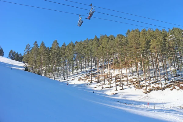 Estación Esquí Con Bosque Pinos Día Soleado Azul — Foto de Stock