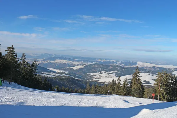 Station Ski Avec Pinède Par Une Journée Ensoleillée Bleue — Photo