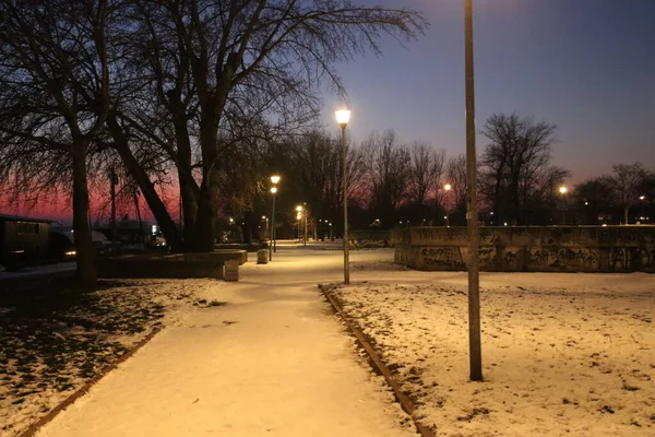 공원에서 겨울의 — 스톡 사진